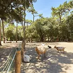 Maison Moderne - Jardin - Pour 8 Adultes 1 Enfant Hébergement de vacances