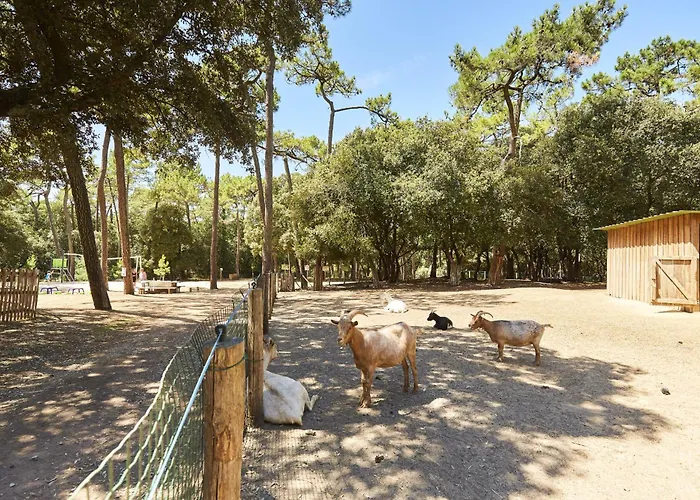 Maison Moderne - Jardin - Pour 8 Adultes 1 Enfant Holiday home